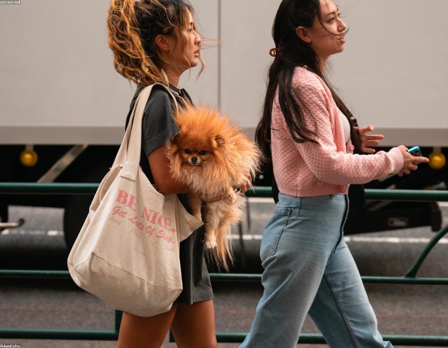 Moda & Stile
